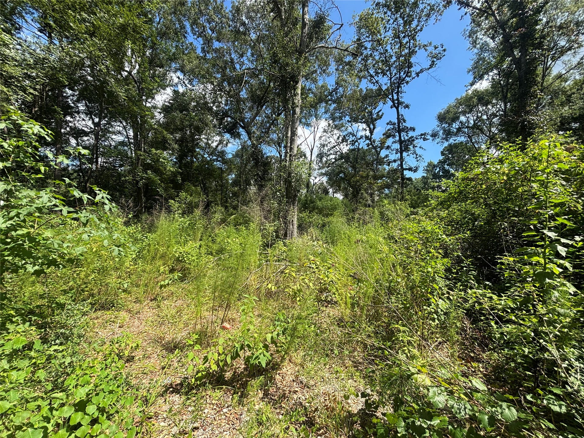 26059 E Christine Drive, Splendora, TX 77372