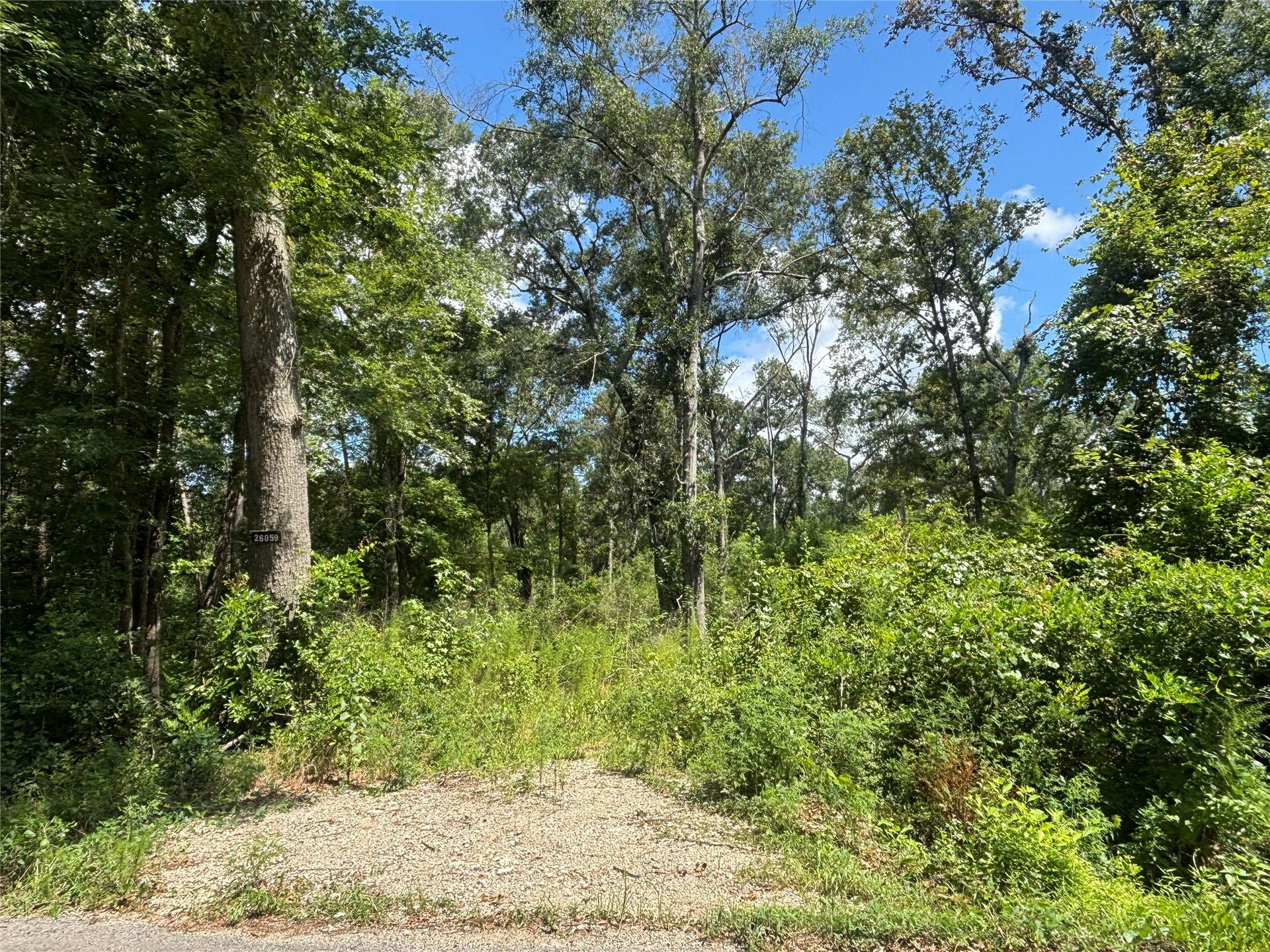 26059 E Christine Drive, Splendora, TX 77372