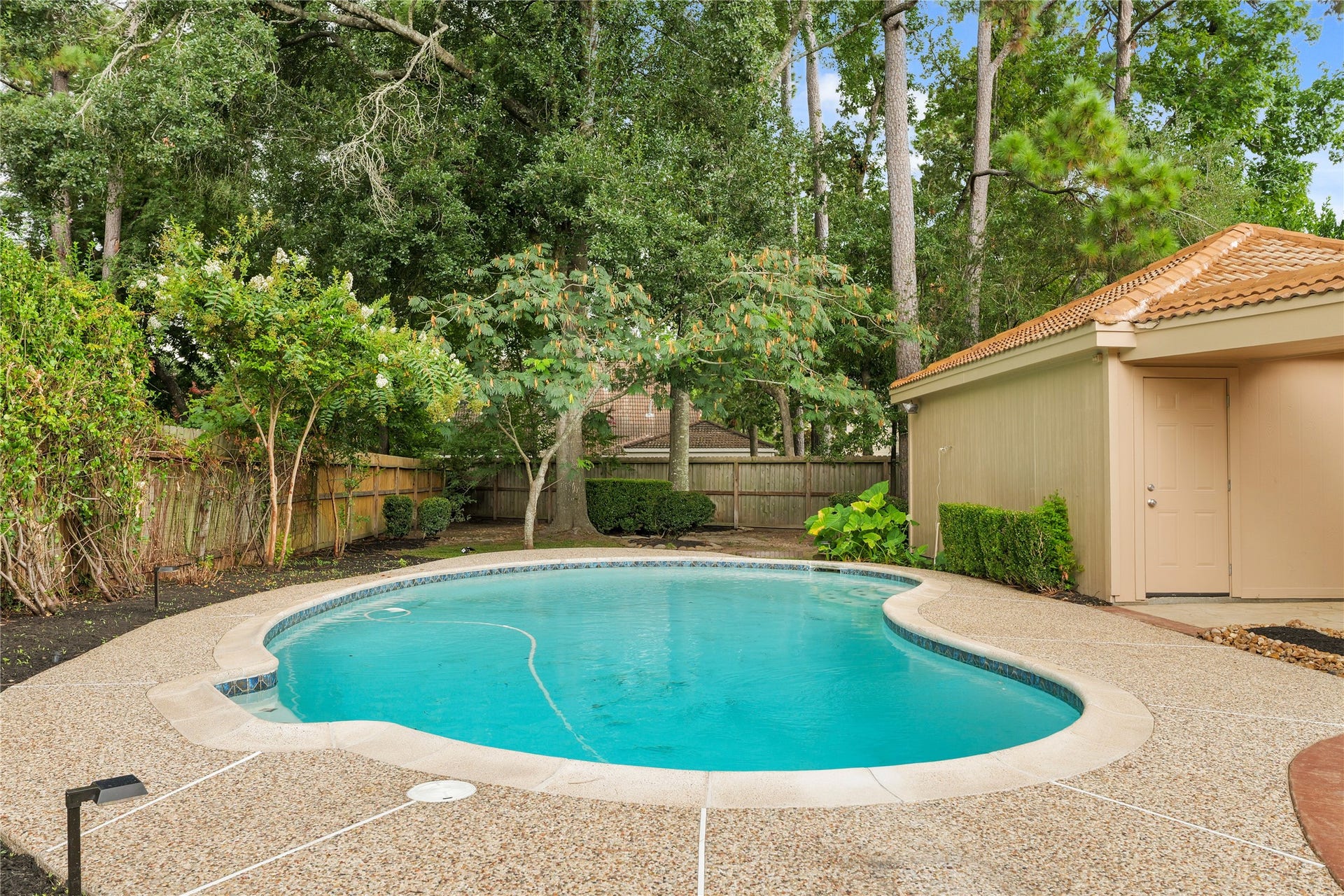 3711 Fern View Drive, Houston, TX 77345 Pool with view of detached garage