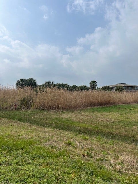 Property photo for 33 Lot 33 Palm Beach, Galveston, TX