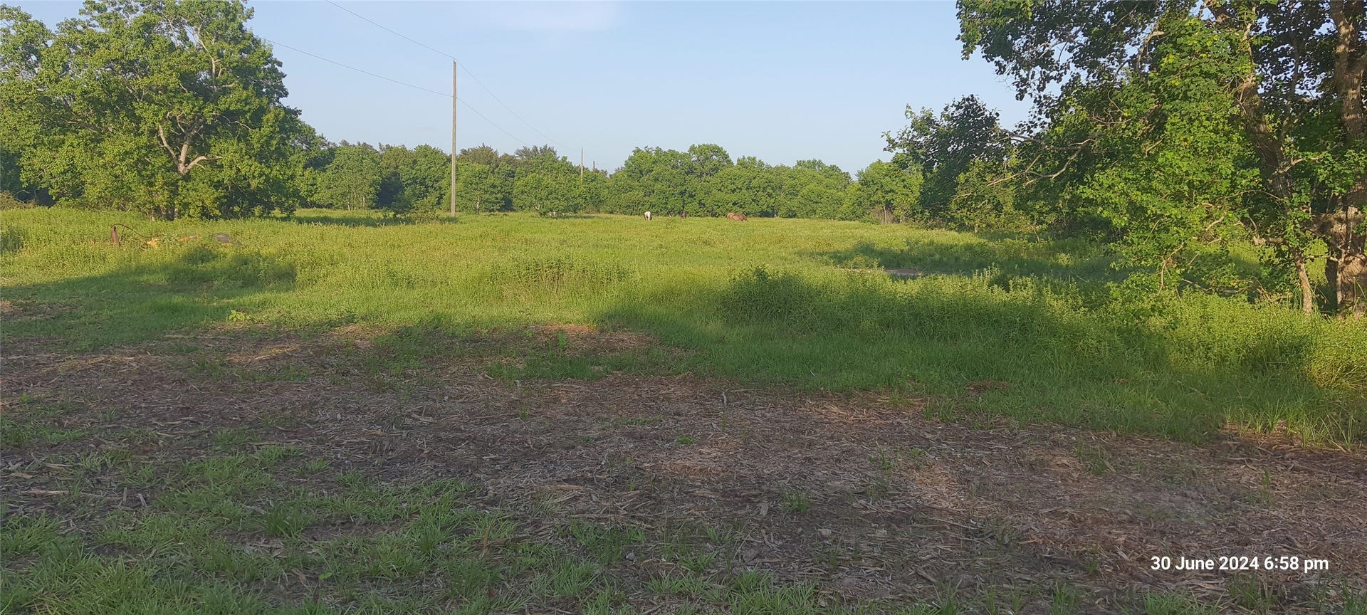 28828 Fm 1462 Road, Damon, TX 77430 28828 Fm 1462 Road, Damon, TX 77430
