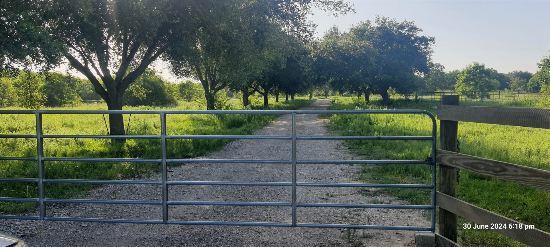 28828 Fm 1462 Road, Damon, TX 77430 28828 Fm 1462 Road, Damon, TX 77430