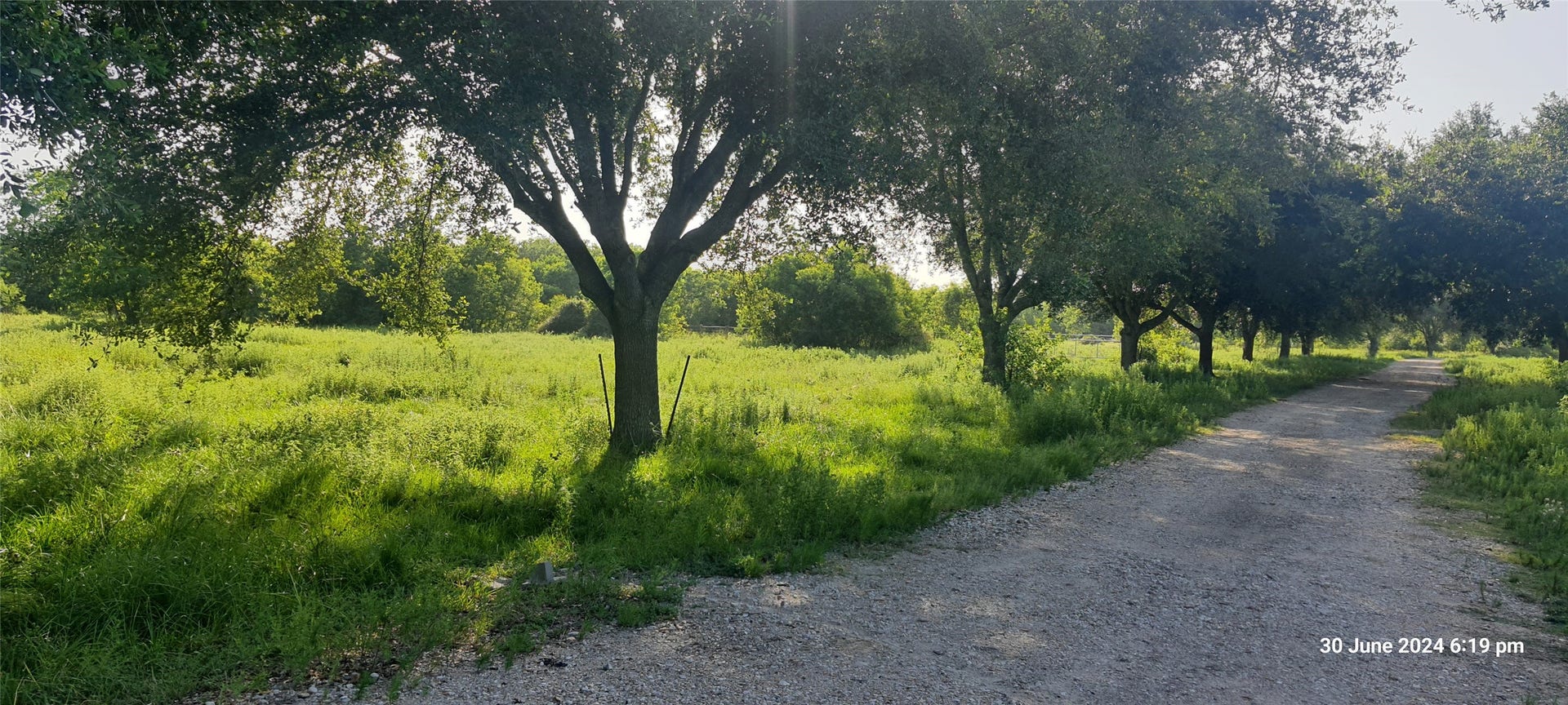 28828 Fm 1462 Road, Damon, TX 77430 28828 Fm 1462 Road, Damon, TX 77430