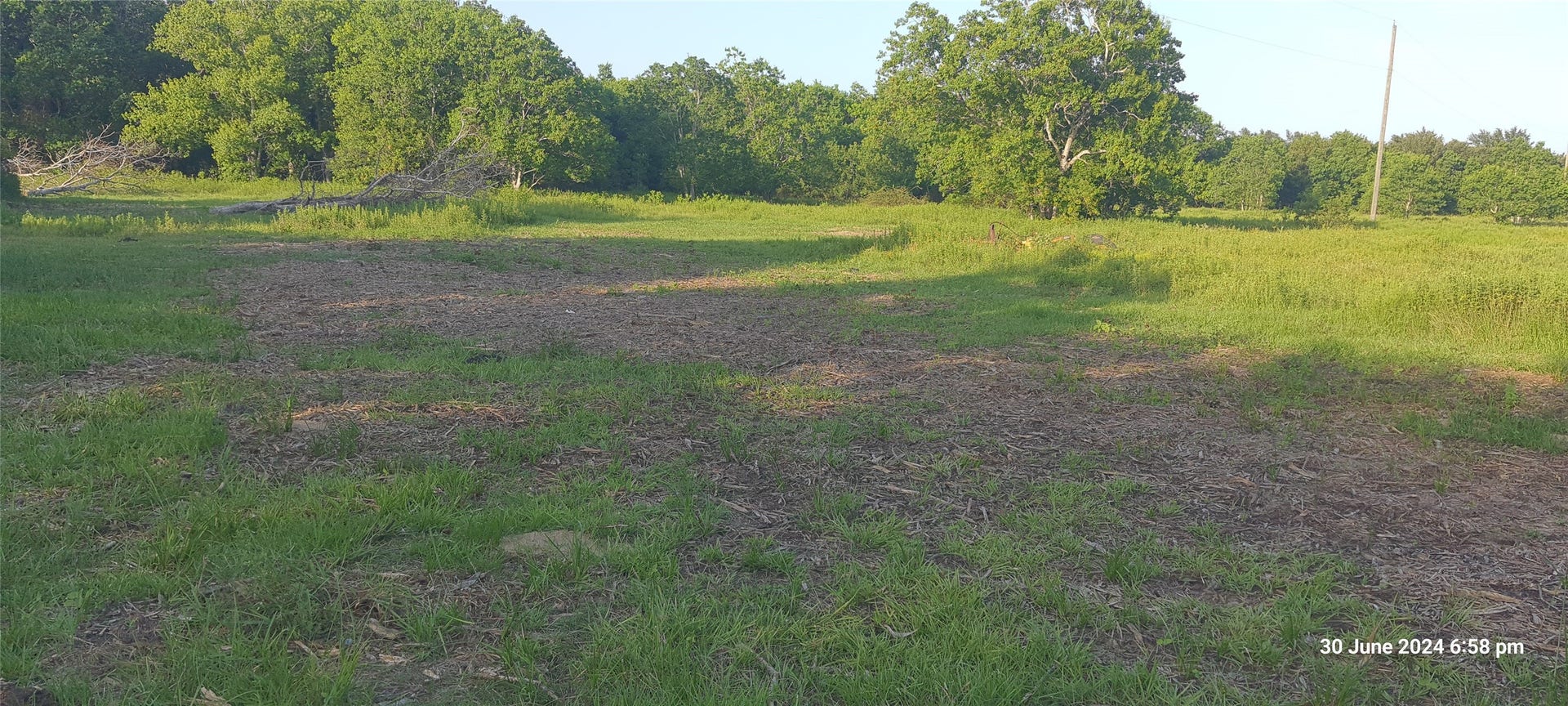 28828 Fm 1462 Road, Damon, TX 77430 28828 Fm 1462 Road, Damon, TX 77430