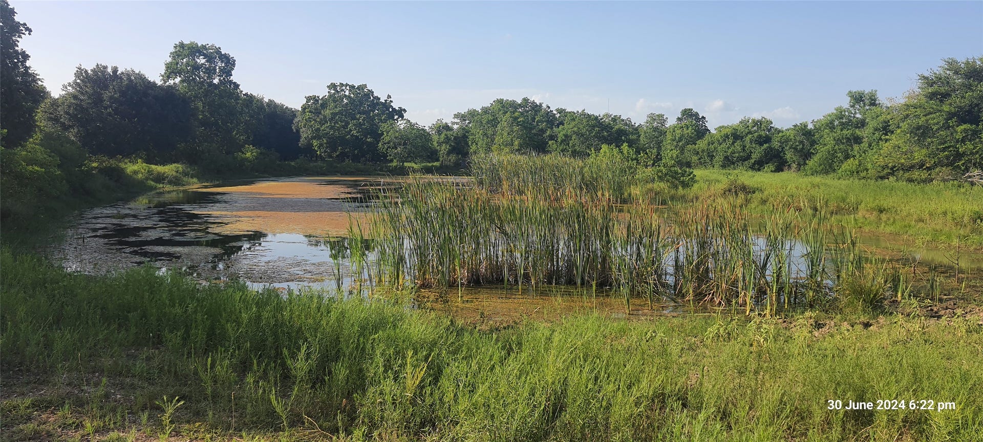 28828 Fm 1462 Road, Damon, TX 77430 28828 Fm 1462 Road, Damon, TX 77430