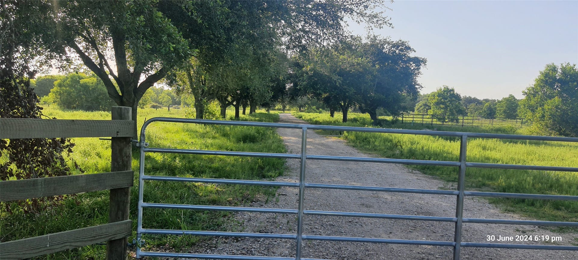 28828 Fm 1462 Road, Damon, TX 77430 28828 Fm 1462 Road, Damon, TX 77430