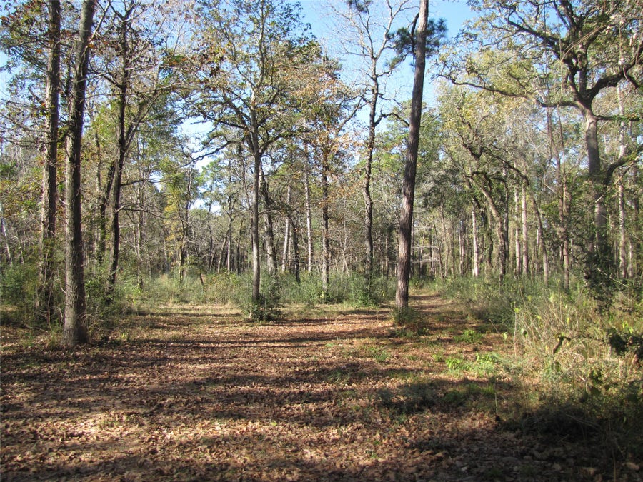 Property photo for 32602 Dogwood Trail, Magnolia, TX