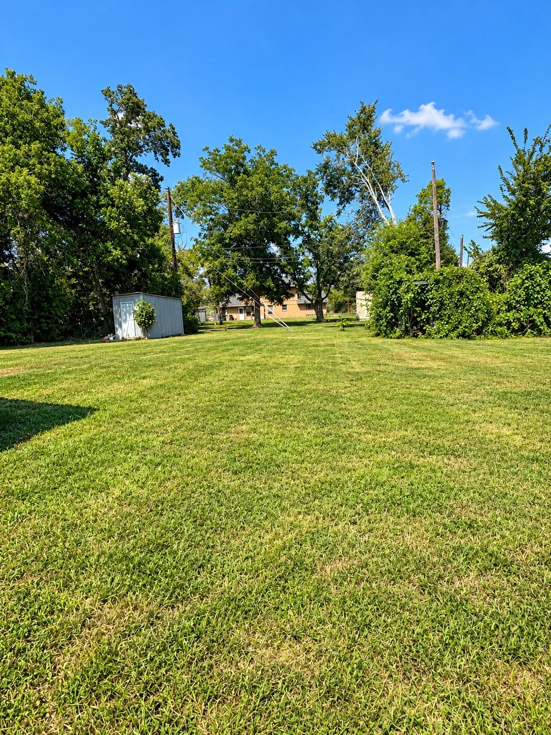 2835 Balmorhea Avenue, #A, Houston, TX 77039 Backyard Area