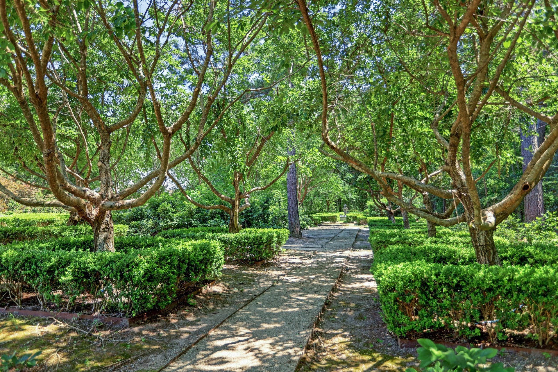 36 Saddlebrook Court, Tomball, TX 77375 One of the many stunning private pathways to enjoy your own nature gardens.