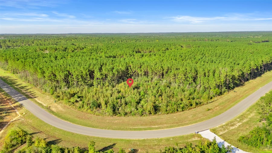 Property photo for 16086 Forest Mill Road, Willis, TX
