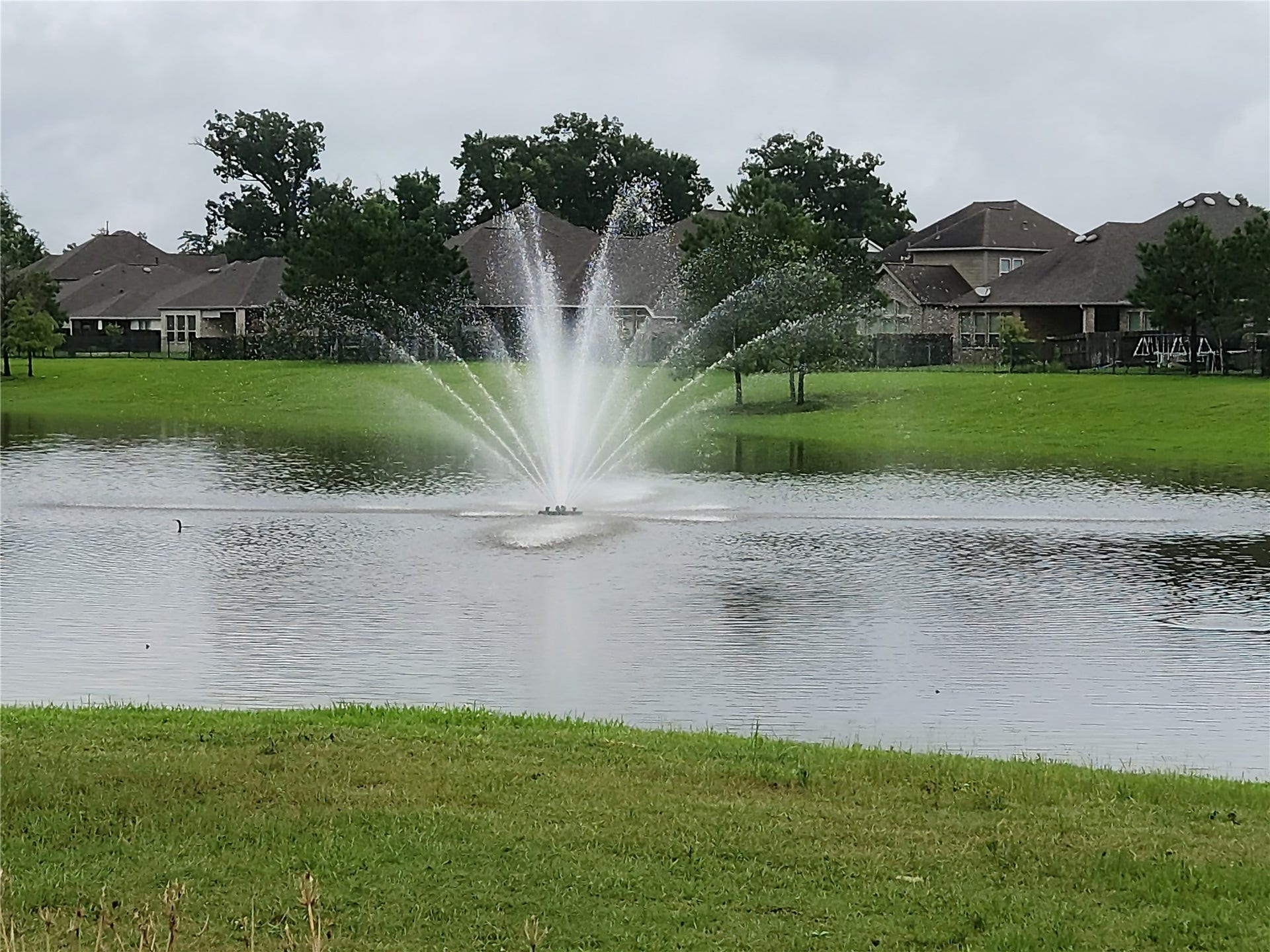 19302 Via Vinovo Court, New Caney, TX 77357 19302 Via Vinovo Court, New Caney, TX 77357