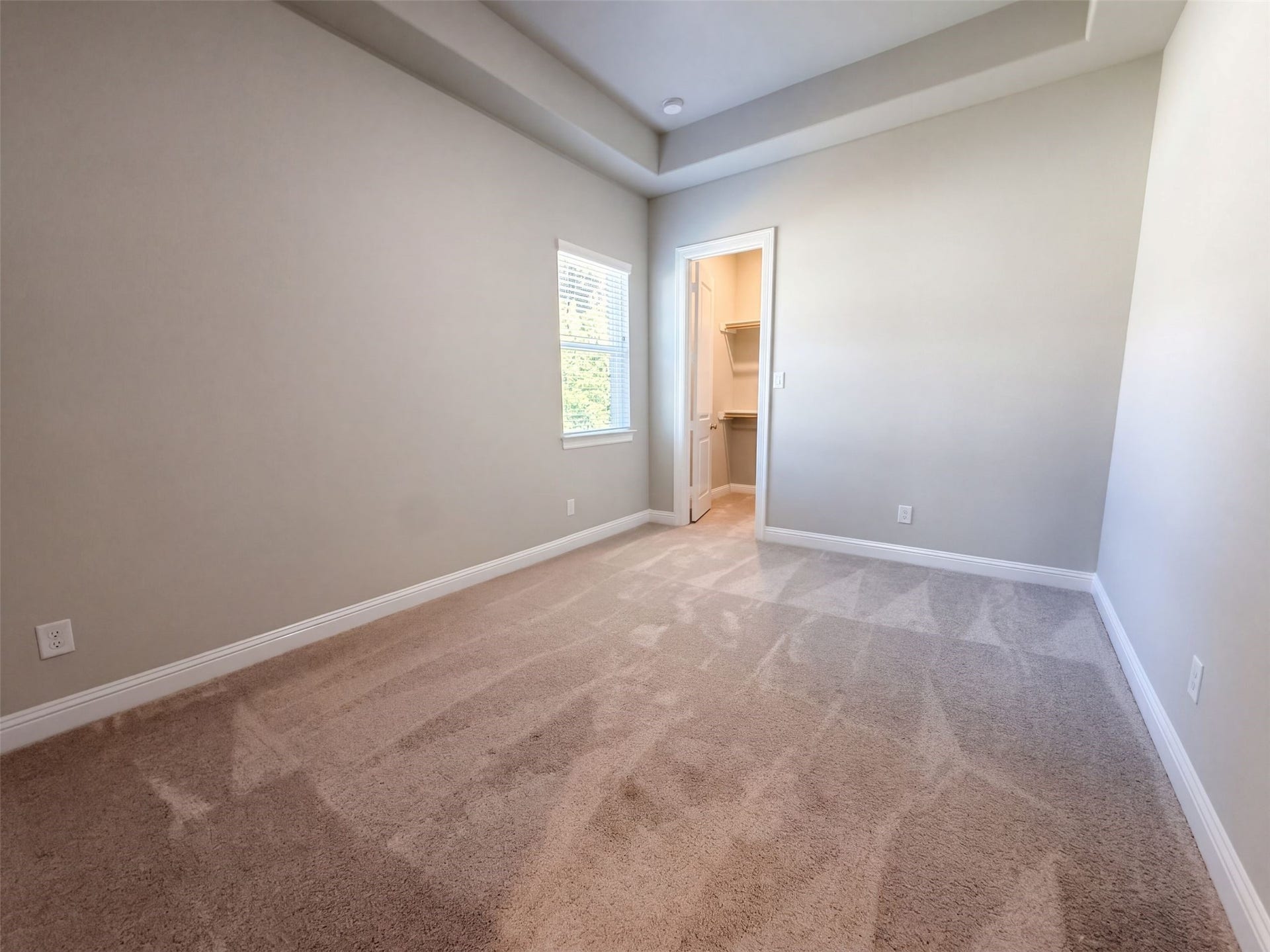 317 Treaty Oak Court, Magnolia, TX 77354 317 Treaty Oak Court, Magnolia, TX 77354