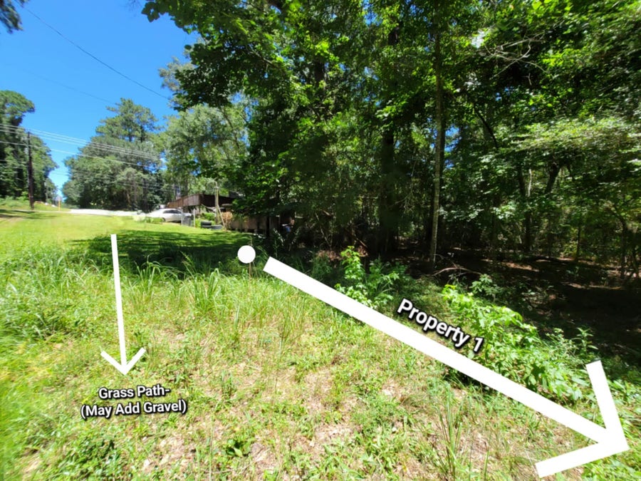 Property photo for 0 Chestnut Drive, Montgomery, TX