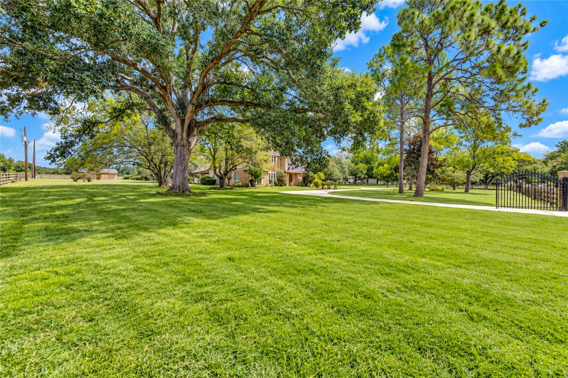 Expansive, sunlit lawn with mature trees offers serene outdoor space, leading to a charming home in the distance.