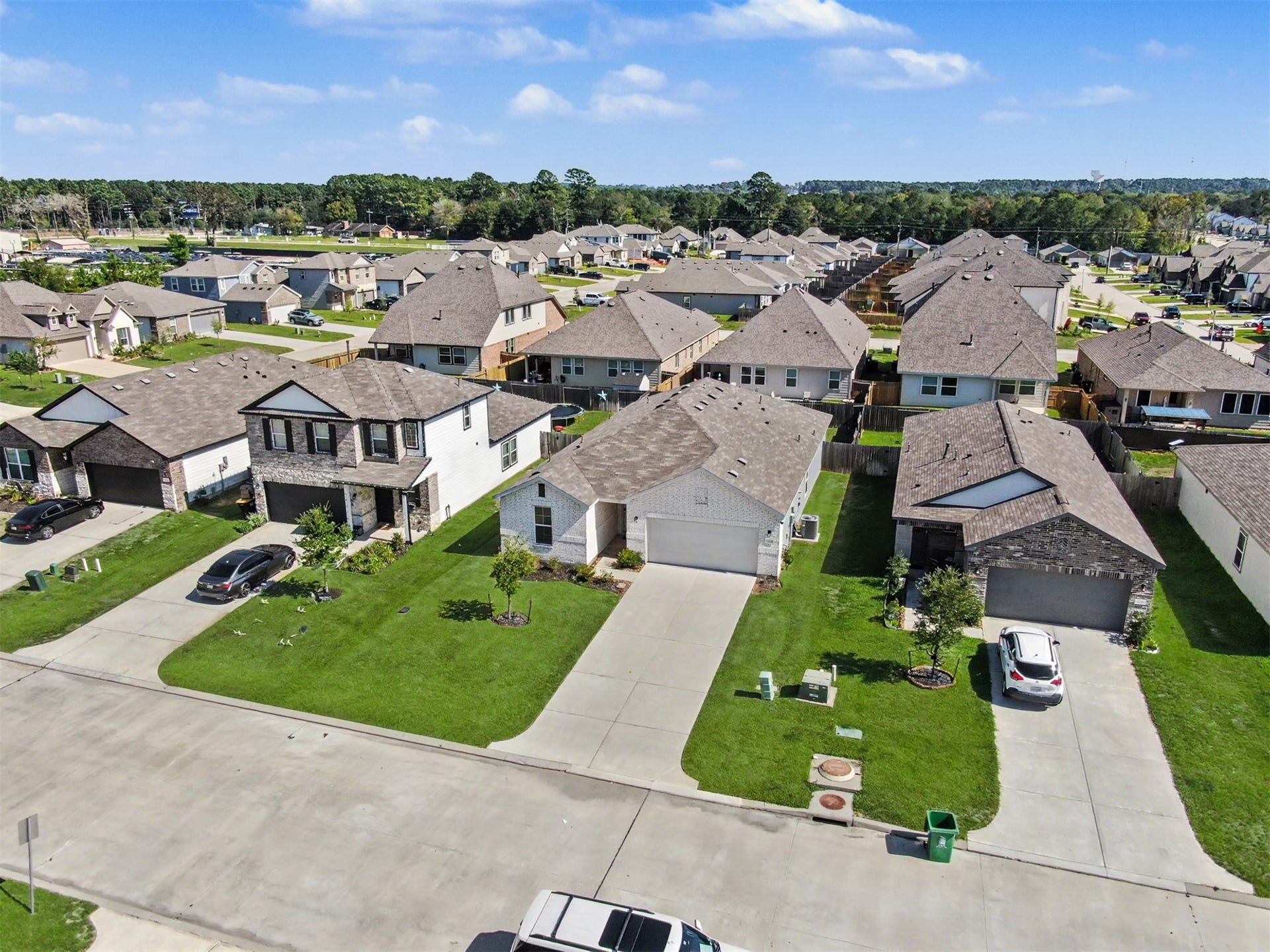 12288 Lady Eli Drive, Willis, TX 77318