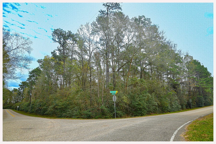 Property photo for 7318 Burr Oak Trace, Magnolia, TX