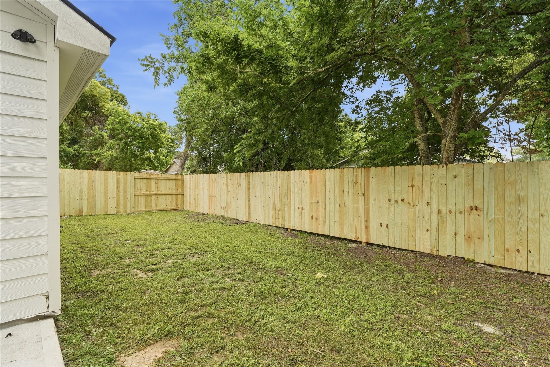 6109 Woodrow Street, Texas City, TX 77591 Spacious back yard, brand new privacy fence