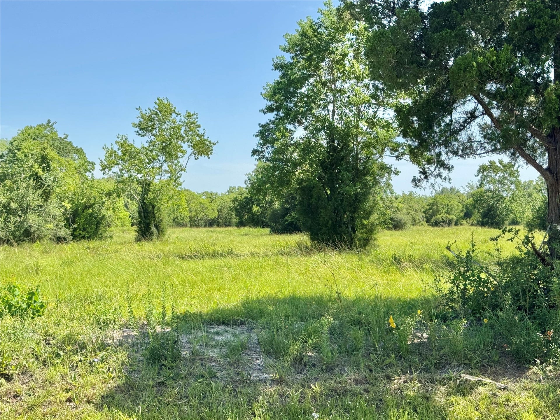 11939 7TH ST, Santa Fe, TX 77510 11939 7TH ST, Santa Fe, TX 77510