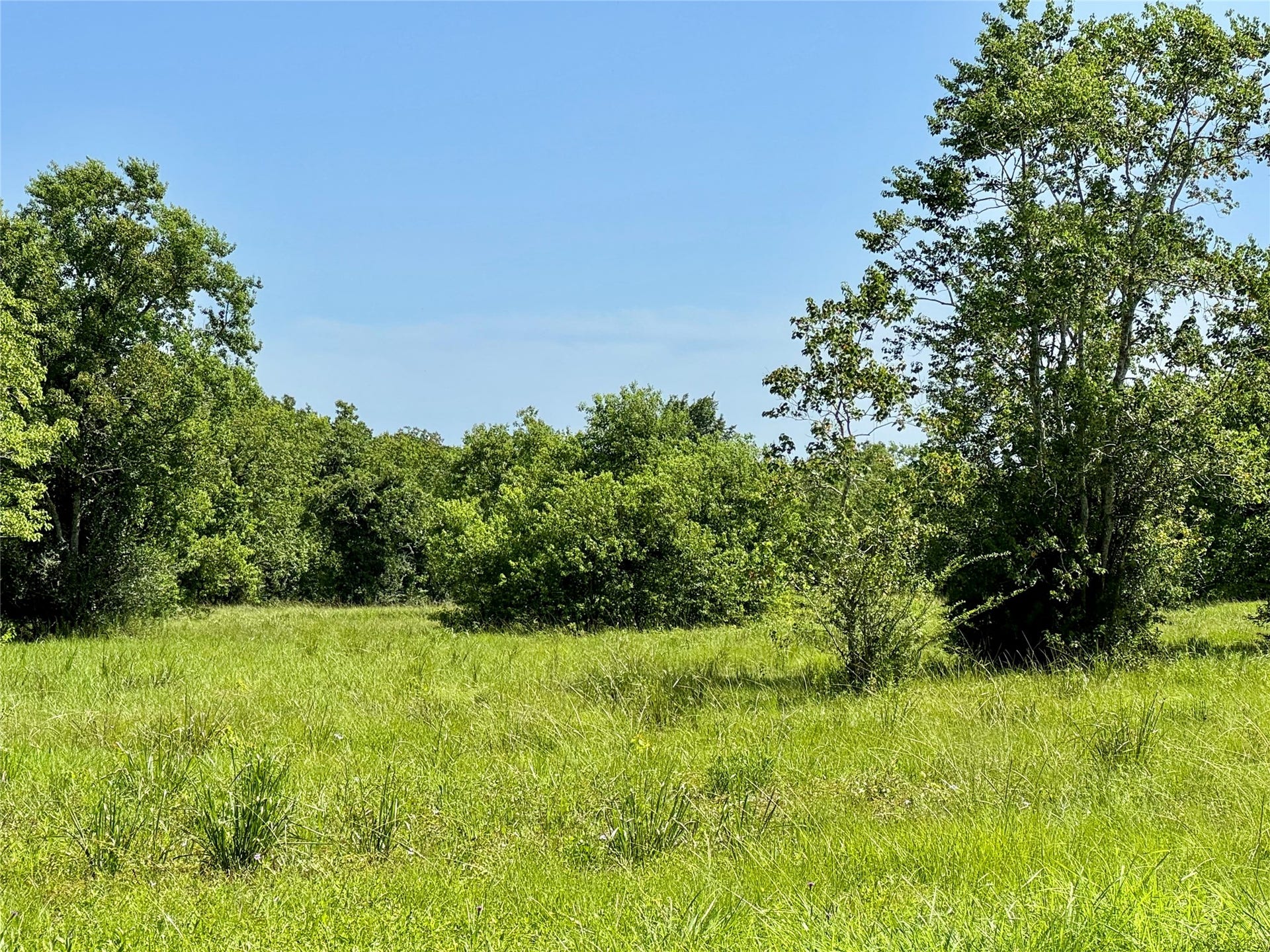 11939 7TH ST, Santa Fe, TX 77510 11939 7TH ST, Santa Fe, TX 77510