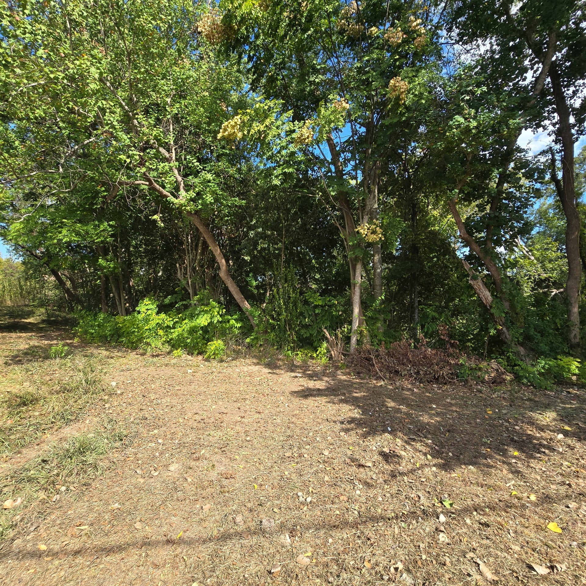 8440 Elrod Street, Houston, TX 77017 8440 Elrod Street, Houston, TX 77017