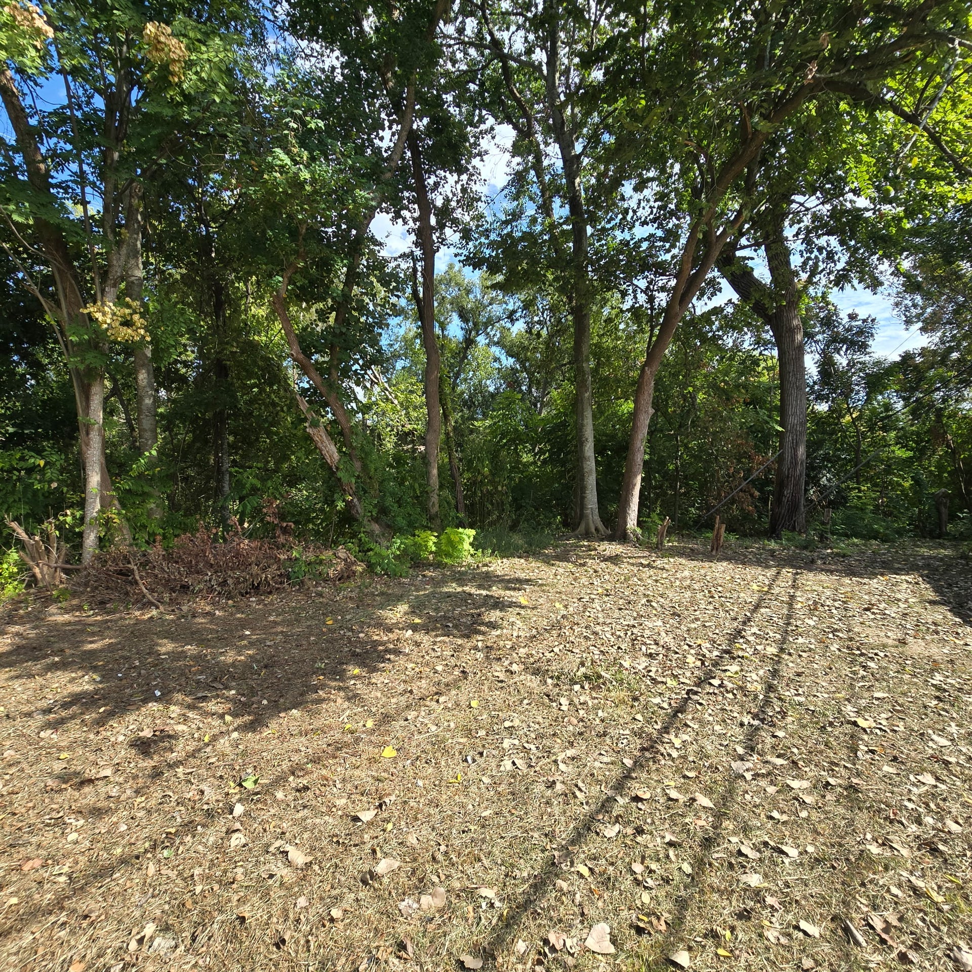 8440 Elrod Street, Houston, TX 77017 8440 Elrod Street, Houston, TX 77017