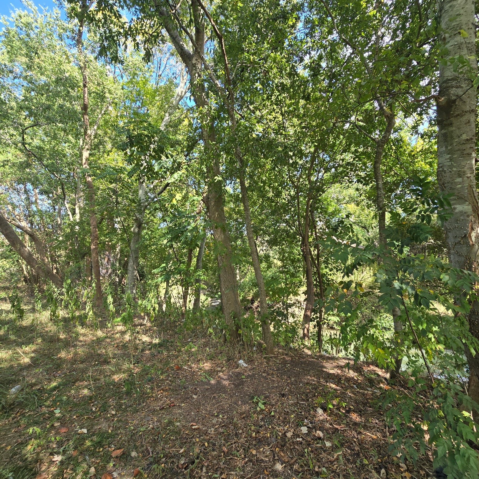 8440 Elrod Street, Houston, TX 77017 8440 Elrod Street, Houston, TX 77017