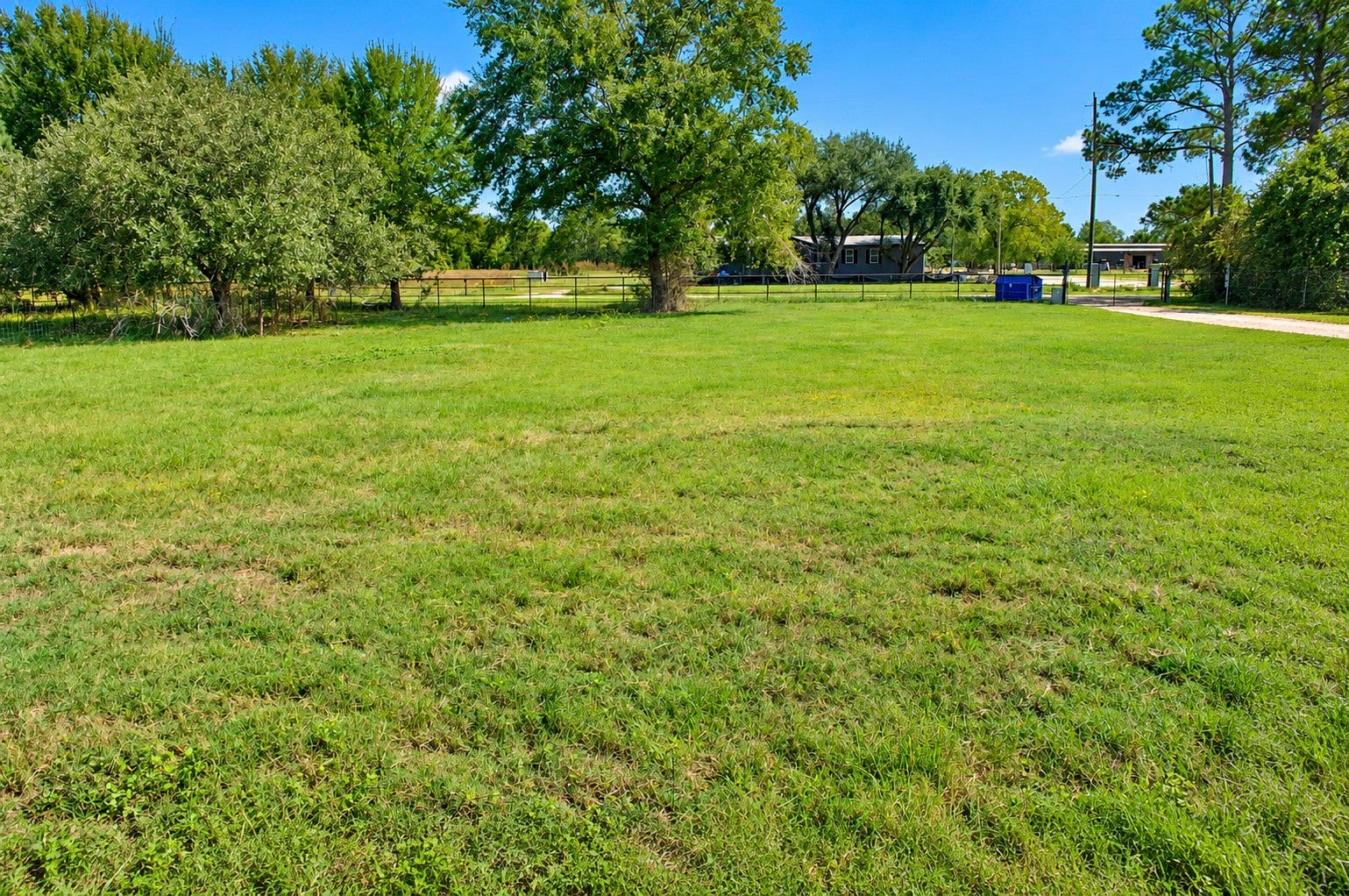 Expansive grassy acreage with mature trees offering a serene and quiet setting.