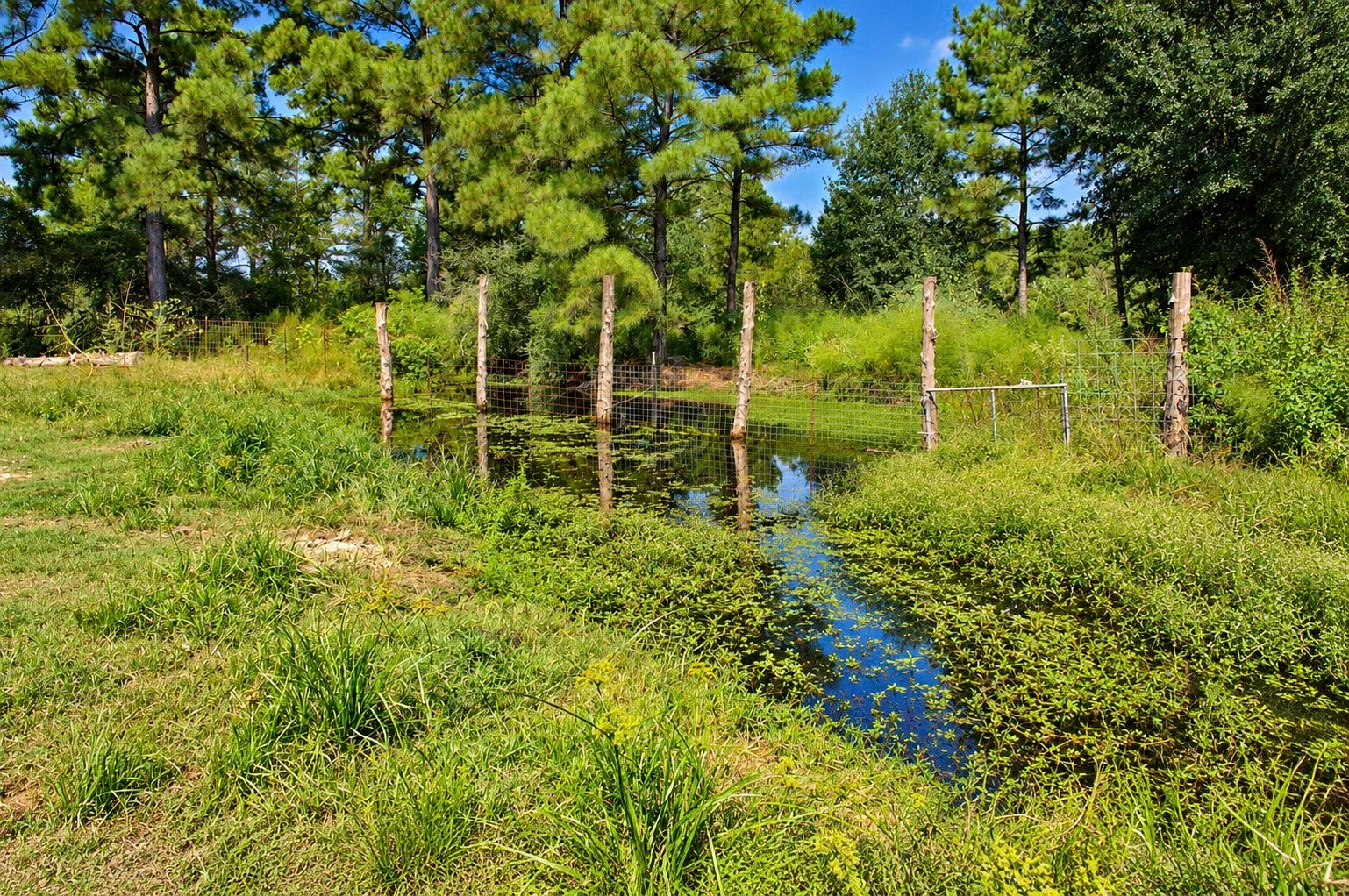 Serene retention pond, surrounded by tall trees and rustic fencing. Perfect for nature lovers seeking a peaceful retreat.