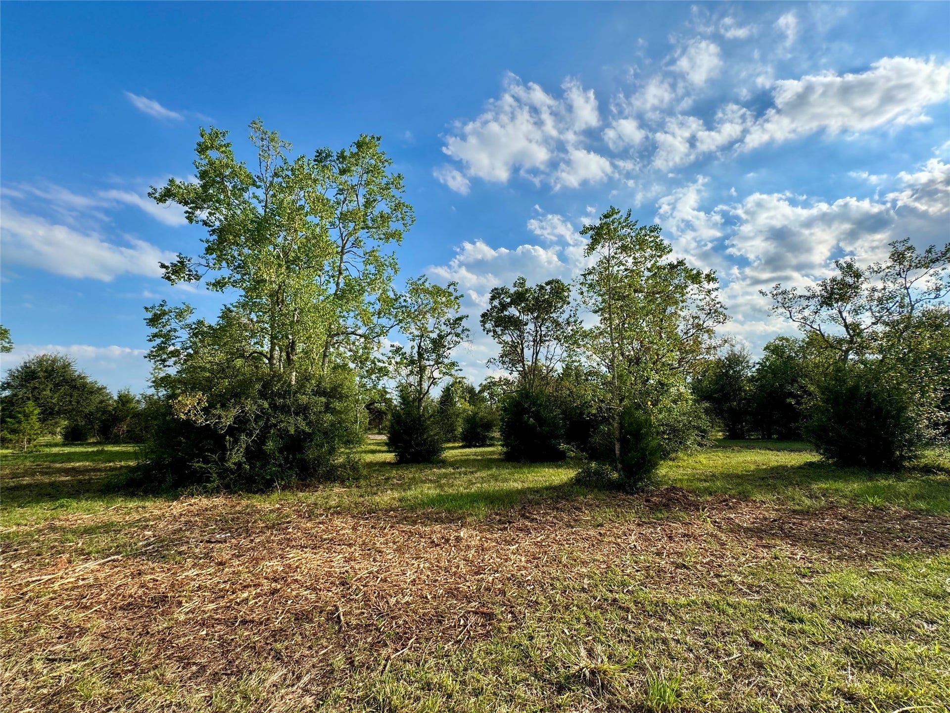 11969 7TH ST, Santa Fe, TX 77510 11969 7TH ST, Santa Fe, TX 77510