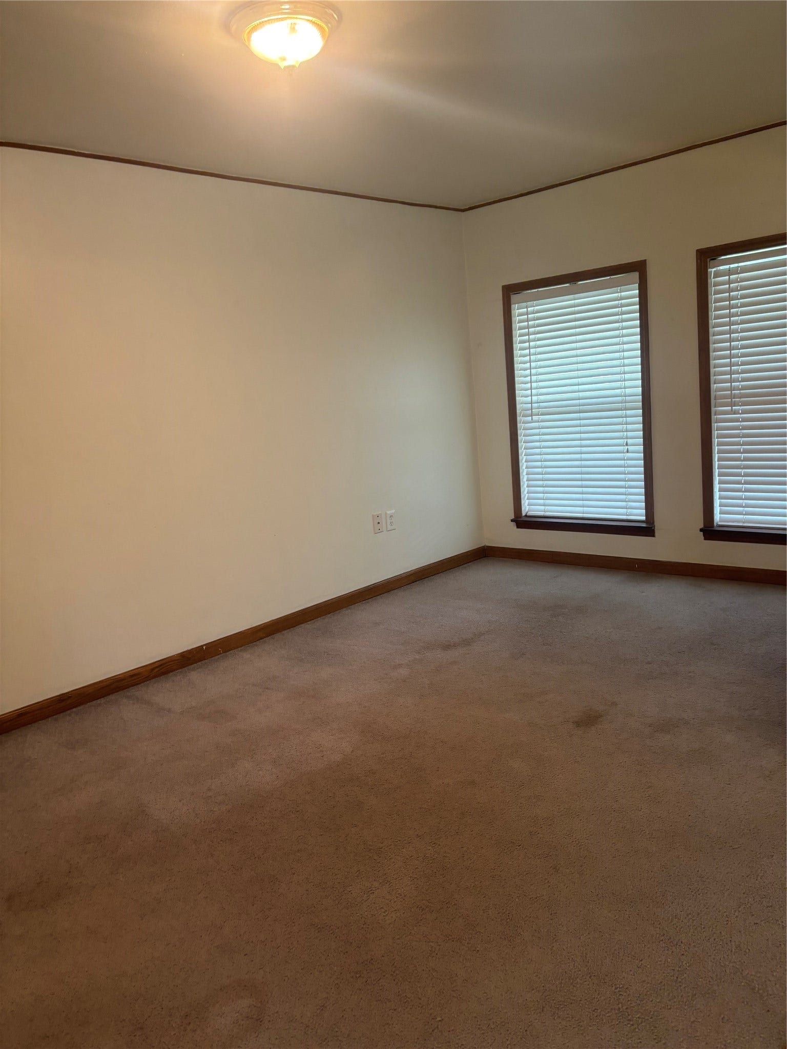 4713 Saxon Street, Bellaire, TX 77401 Den area, carpet
