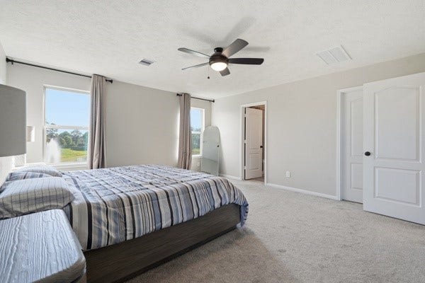 15334 Silver Breeze Lane, Houston, TX 77044 Spacious bedroom with plush carpeting, featuring large windows for natural light, a ceiling fan for comfort, and a modern en-suite bathroom.