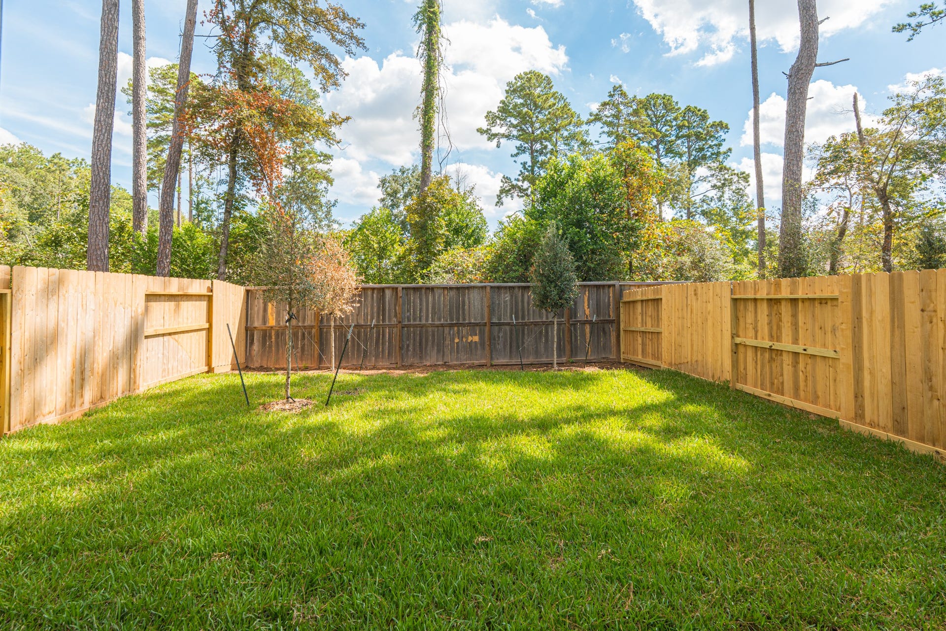 536 Red Cascade Trail, Willis, TX 77318 536 Red Cascade Trail, Willis, TX 77318