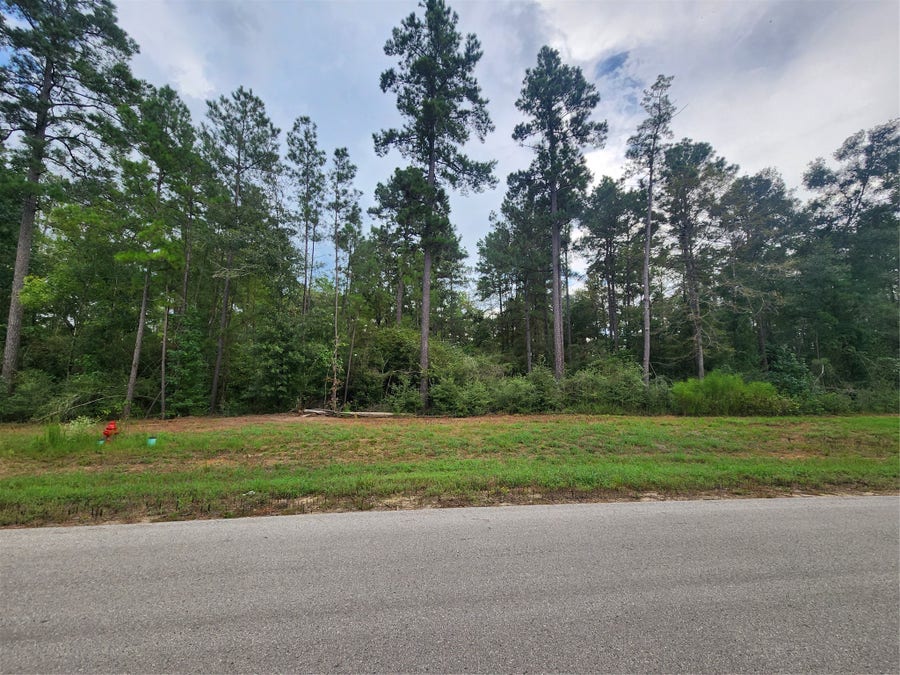 Property photo for 15211 Forest Grove Drive, Willis, TX