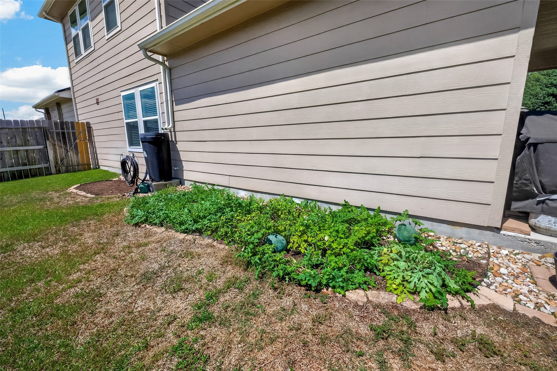 2321 W Winding Pines Drive, Tomball, TX 77375 Watermelon are currently growing in the garden.