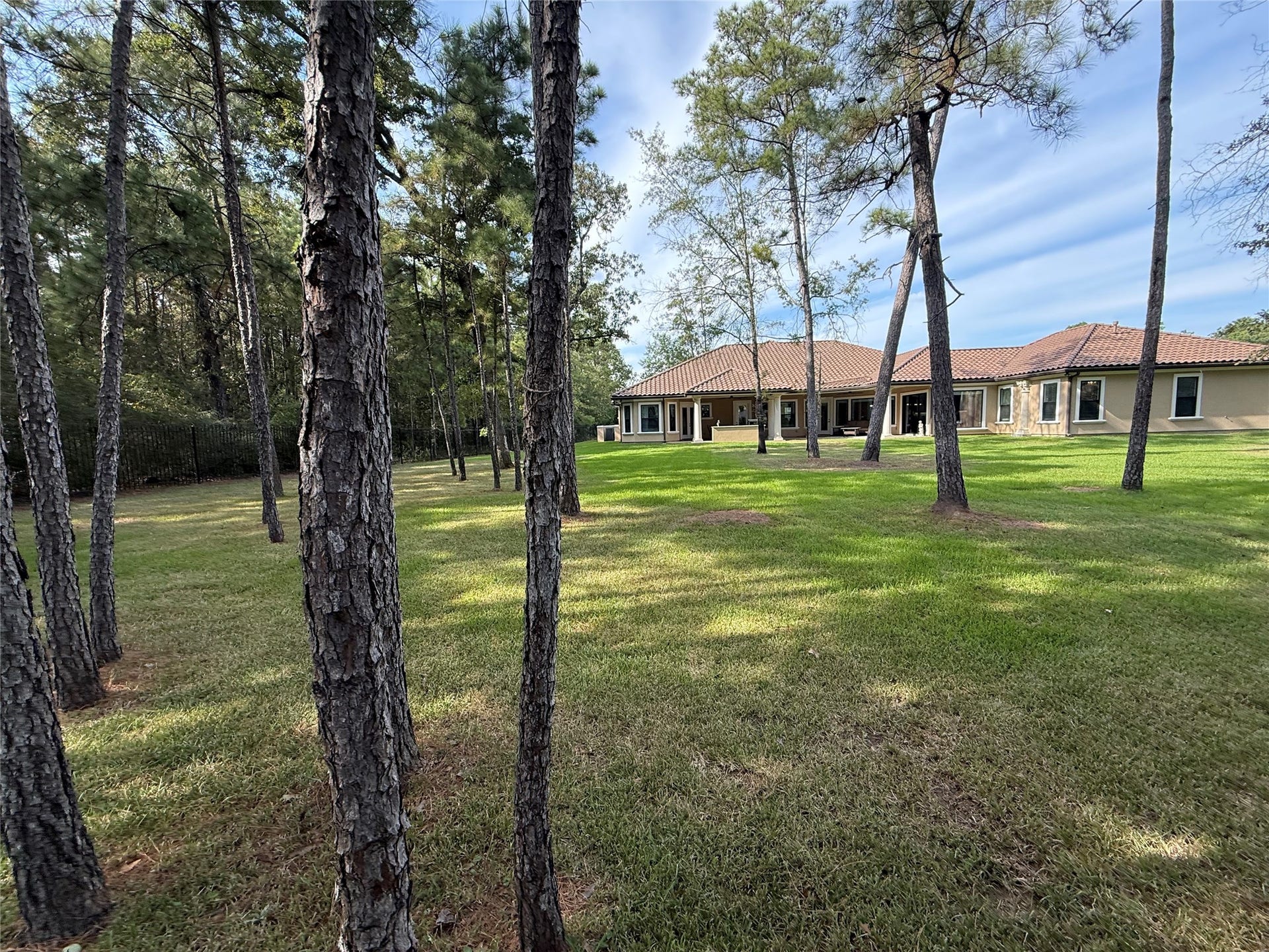 6310 N Lazy Meadow Way, Spring, TX 77386 View from back corner of yard.