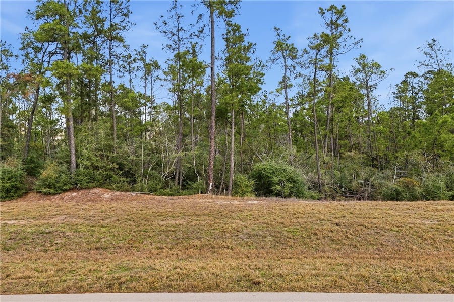Property photo for 15466 Red Hawk Road, Willis, TX