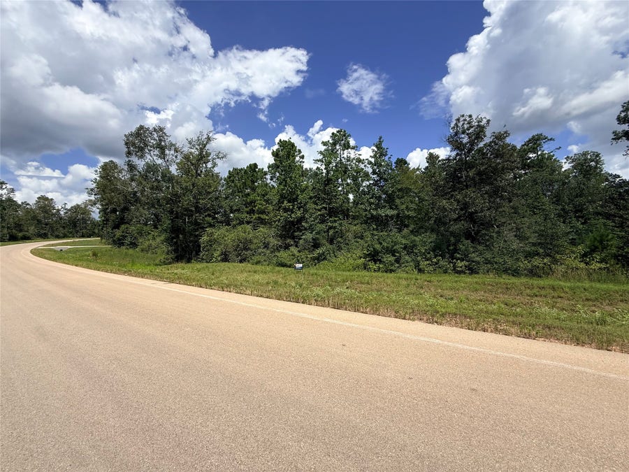 Property photo for 12075 High Branch Way, Willis, TX