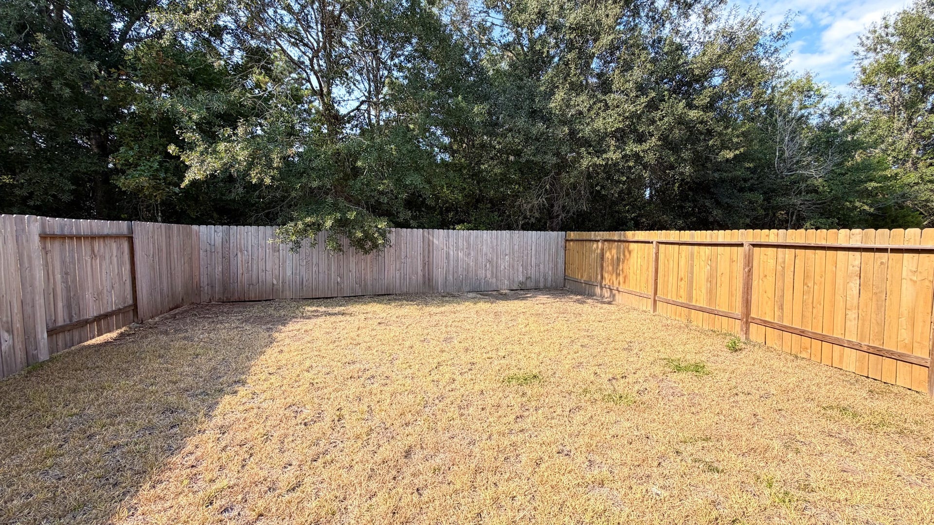 16451 Jasmine Marie Place, Conroe, TX 77306 16451 Jasmine Marie Place, Conroe, TX 77306