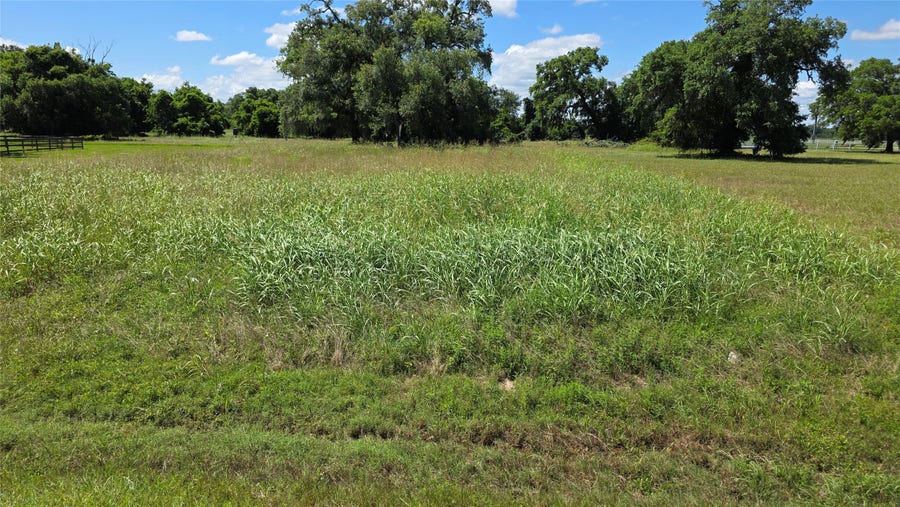 Property photo for 235 Cattle Drive Trail, Angleton, TX