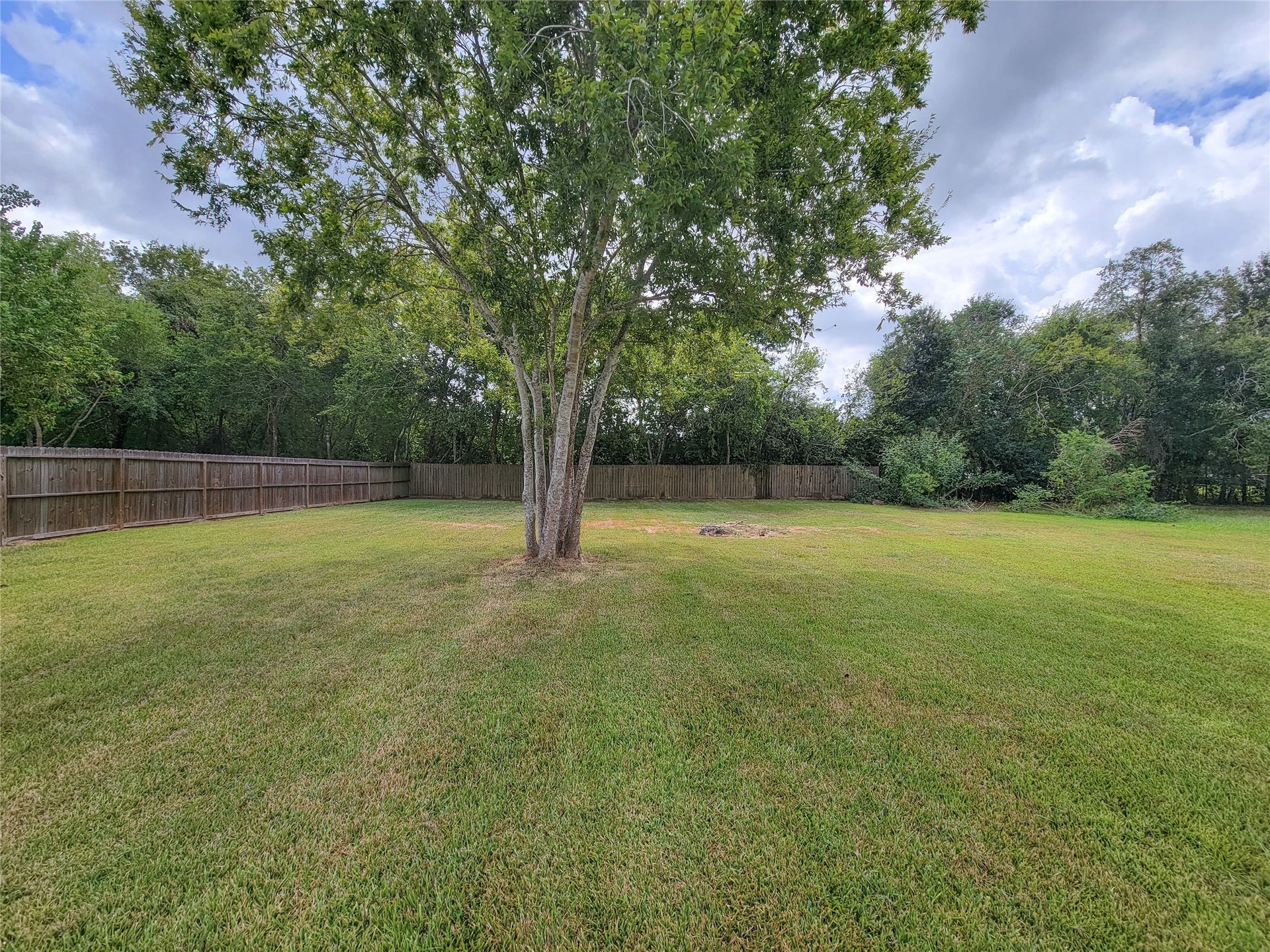 2605 W Dumble Street, Alvin, TX 77511 Discover tranquility in this expansive backyard, featuring lush greenery, a mature tree, and a private wooden fenceideal for outdoor activities and relaxation.