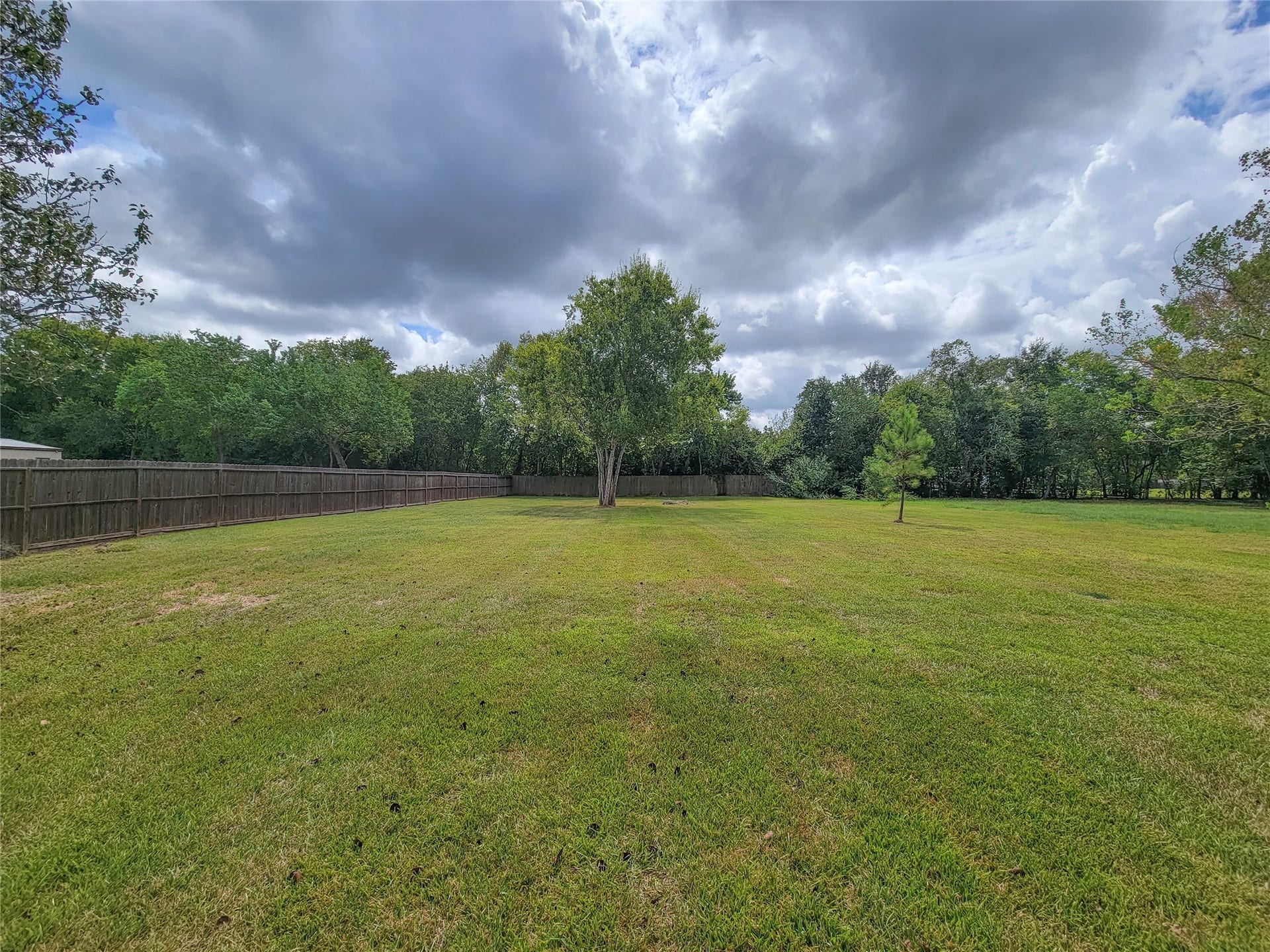 2605 W Dumble Street, Alvin, TX 77511 An expansive, well-manicured lawn surrounded by lush greenery offers both privacy and ample space for outdoor activities.