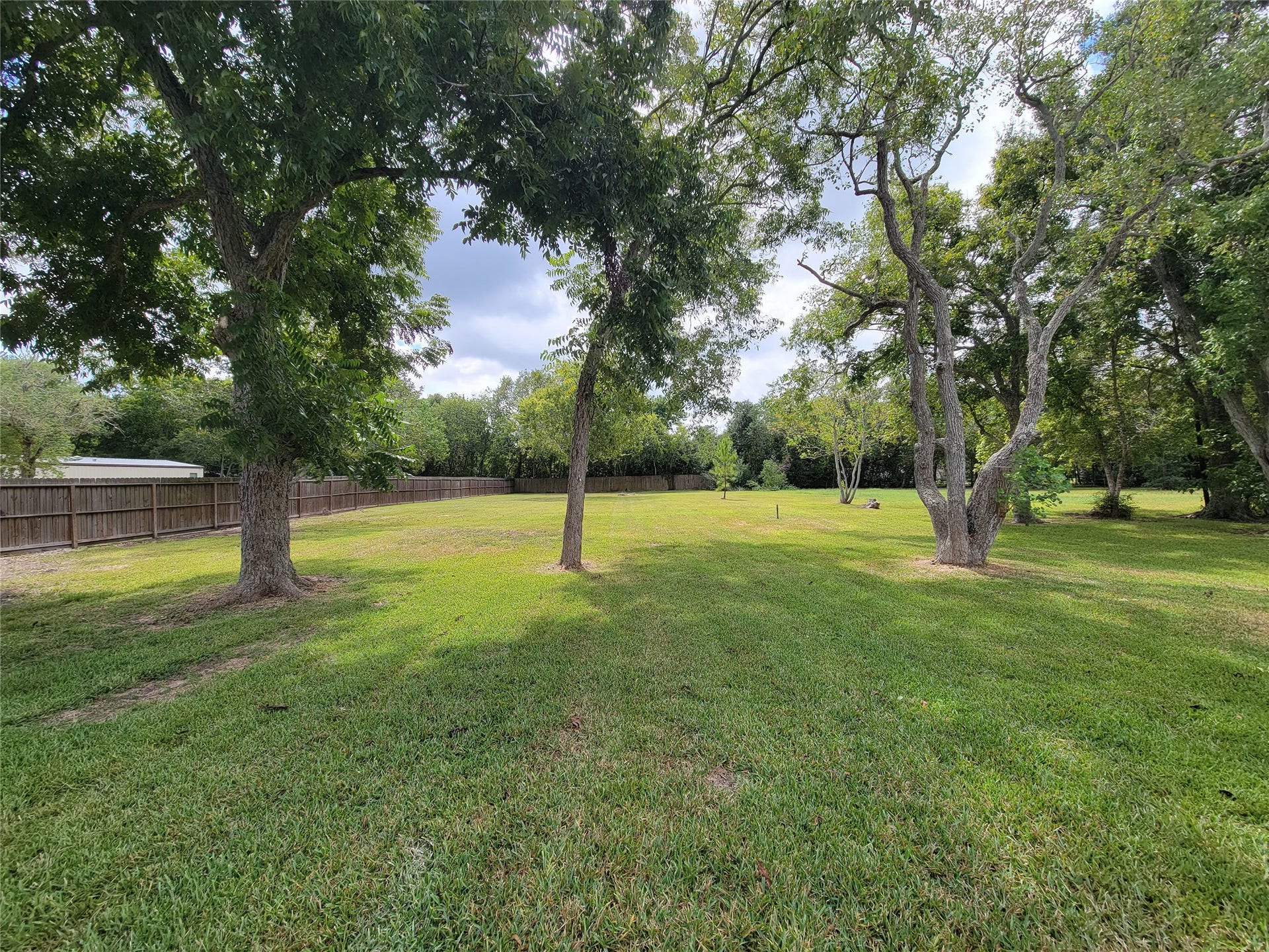 2605 W Dumble Street, Alvin, TX 77511 Discover an expansive backyard oasis featuring lush green grass and mature trees, perfect for outdoor activities and relaxation, all within the privacy of a wooden fence.