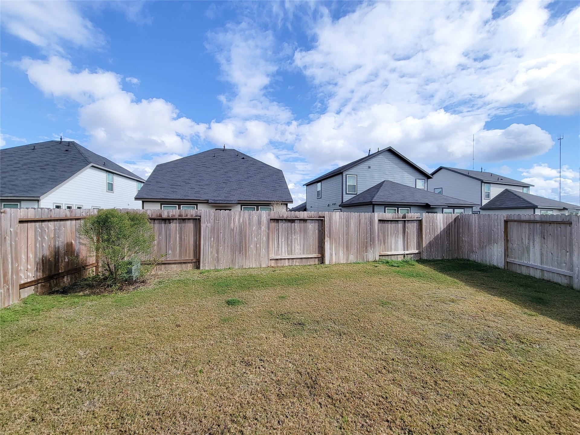 2719 Forest Retreat Lane, Missouri City, TX 77489 Spacious fenced backyard with a well-maintained lawn, offering privacy and potential for landscaping or outdoor activities.