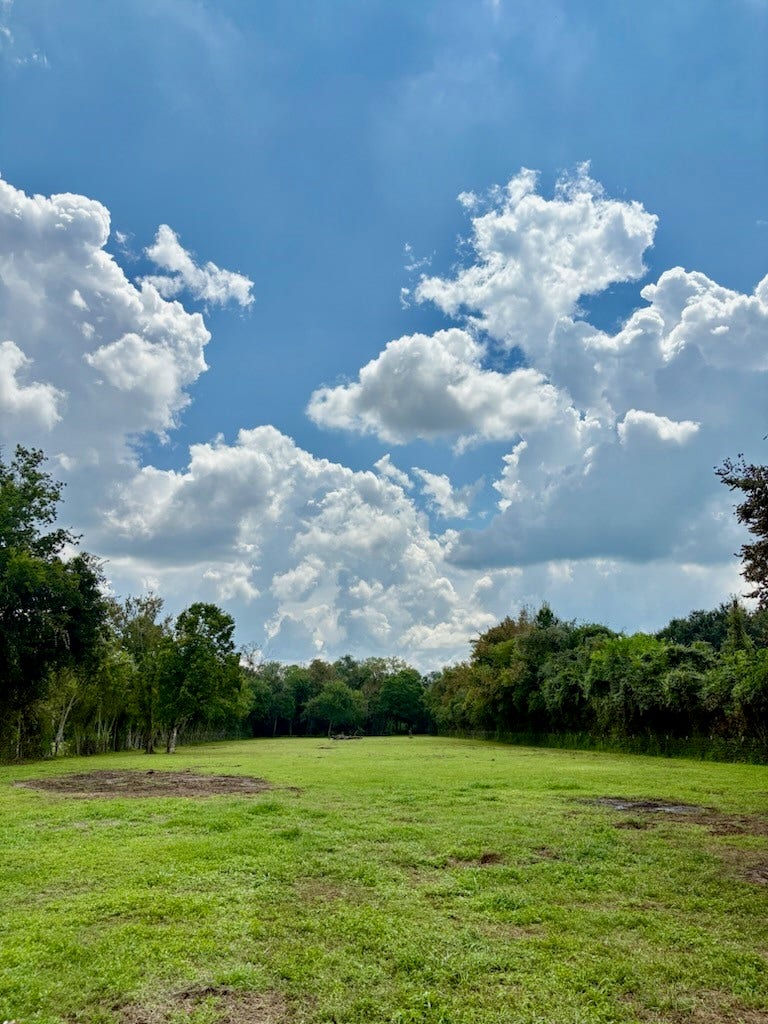 9311 Masters Road, Manvel, TX 77578 9311 Masters Road, Manvel, TX 77578