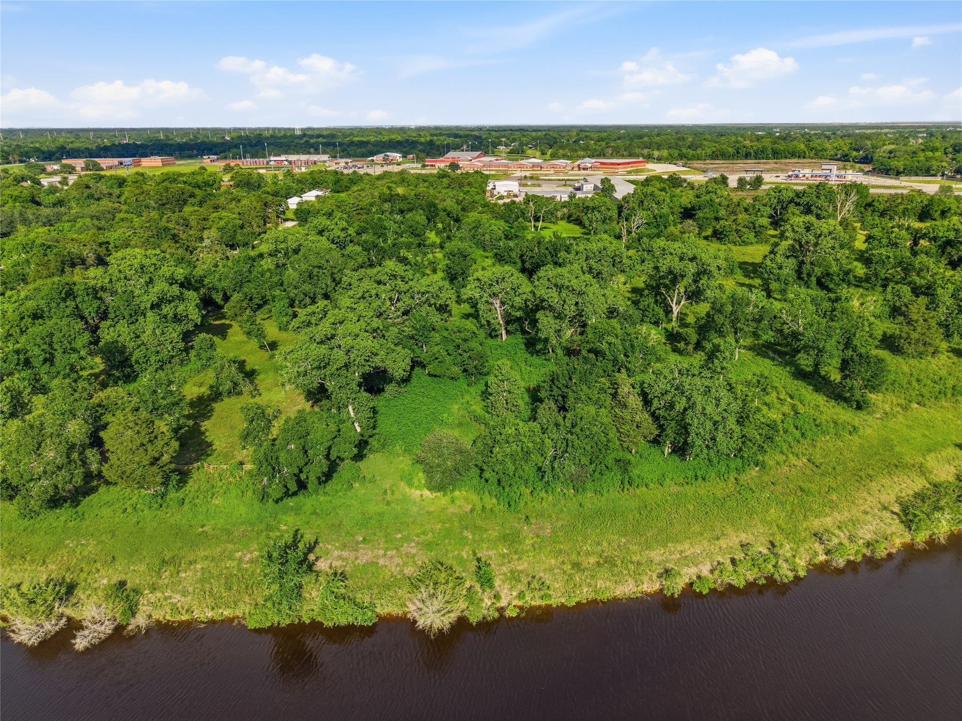 7326 Custer Street, Hitchcock, TX 77563 Lush, green landscape with dense trees, bordered by a calm body of water.