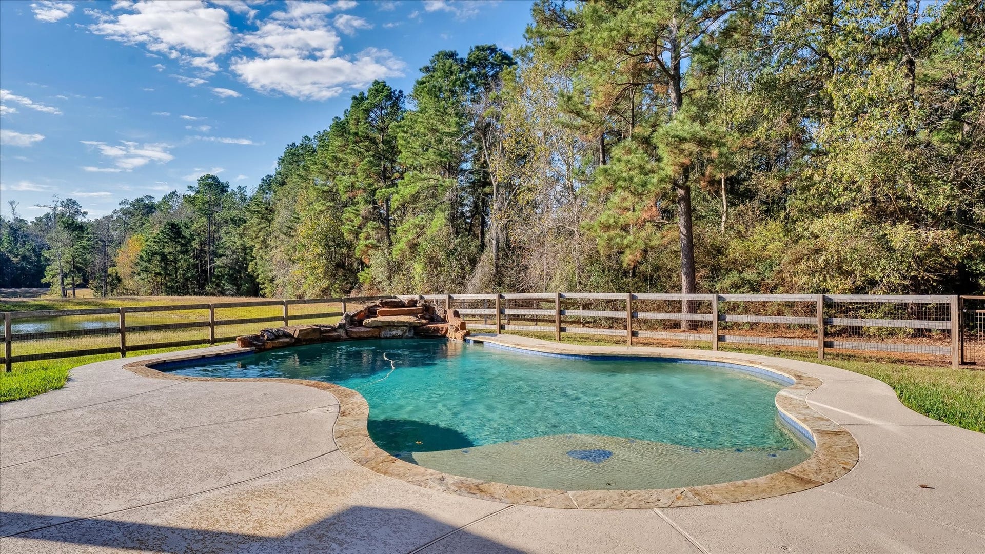 8071 Stacy Diane Drive, Montgomery, TX 77316 This photo showcases a serene backyard with a beautifully shaped pool surrounded by a stone patio. It offers a natural, scenic view of lush trees and a small pond, perfect for relaxation and outdoor enjoyment.