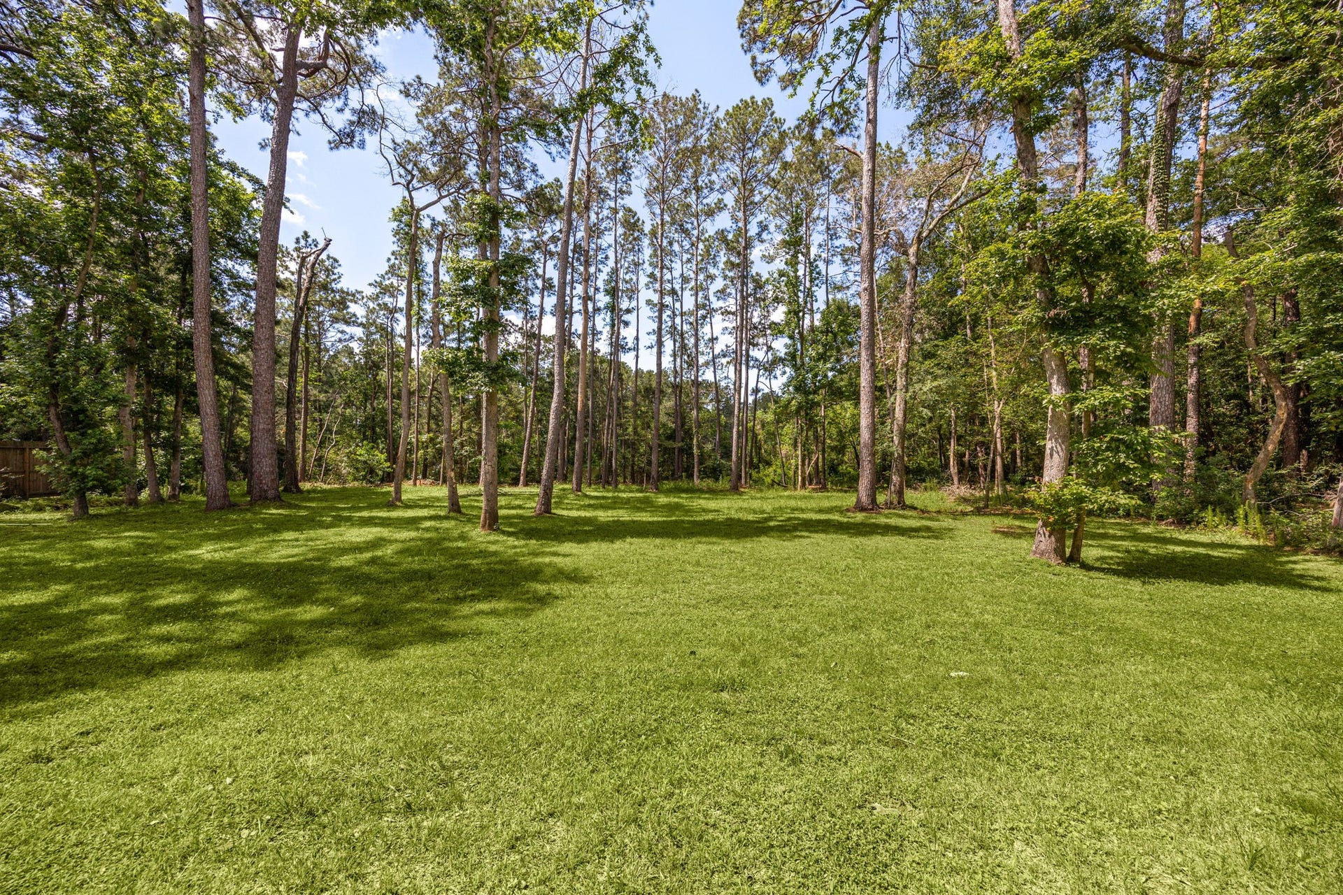 7321 Ponderosa Dr, Magnolia, TX 77354 Backyard