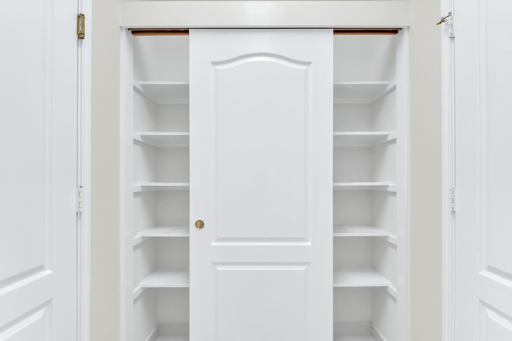 Expensive pantry with ample storage space.
