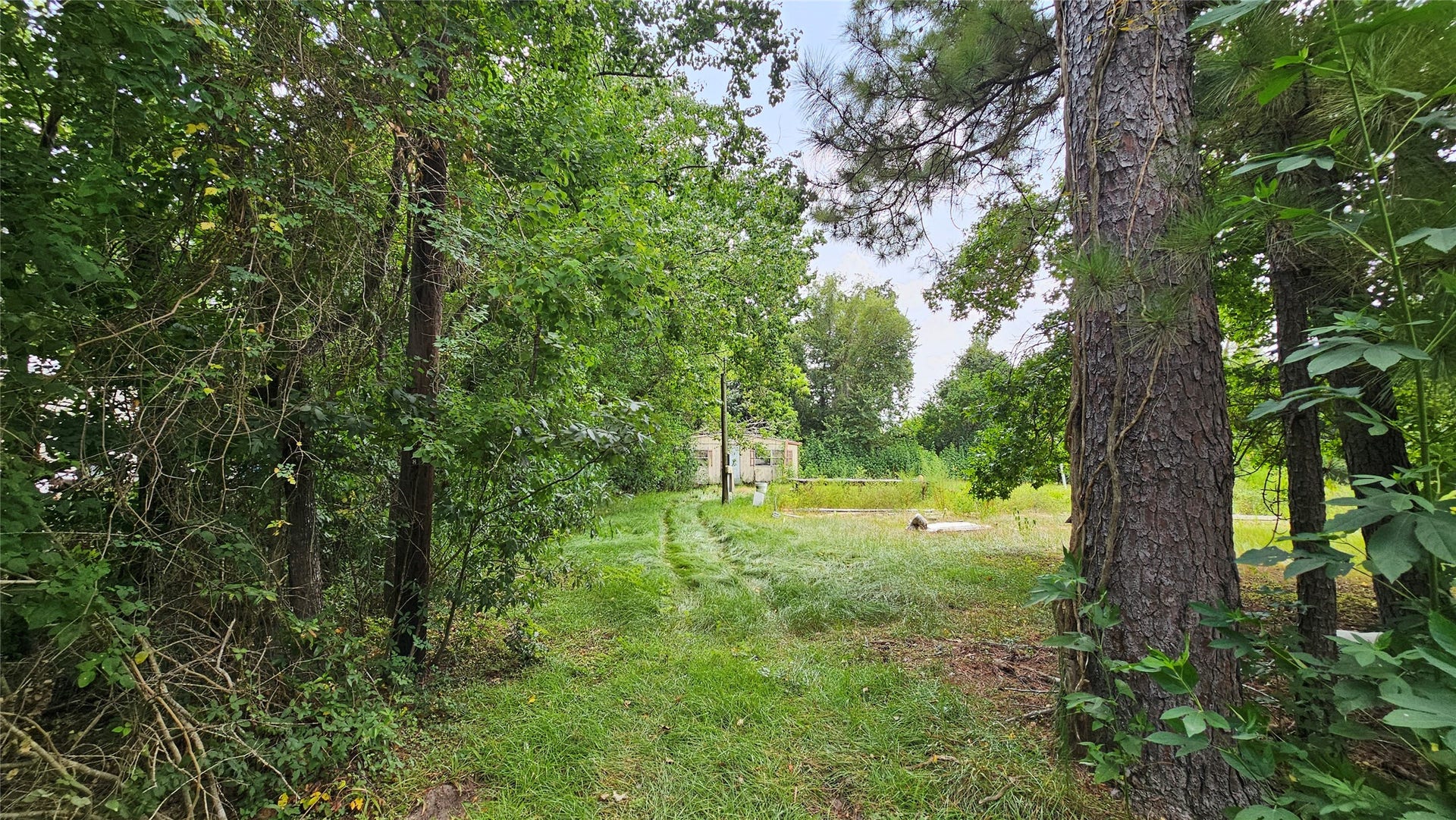 23891 Stanart Road, Porter, TX 77365 23891 Stanart Road, Porter, TX 77365