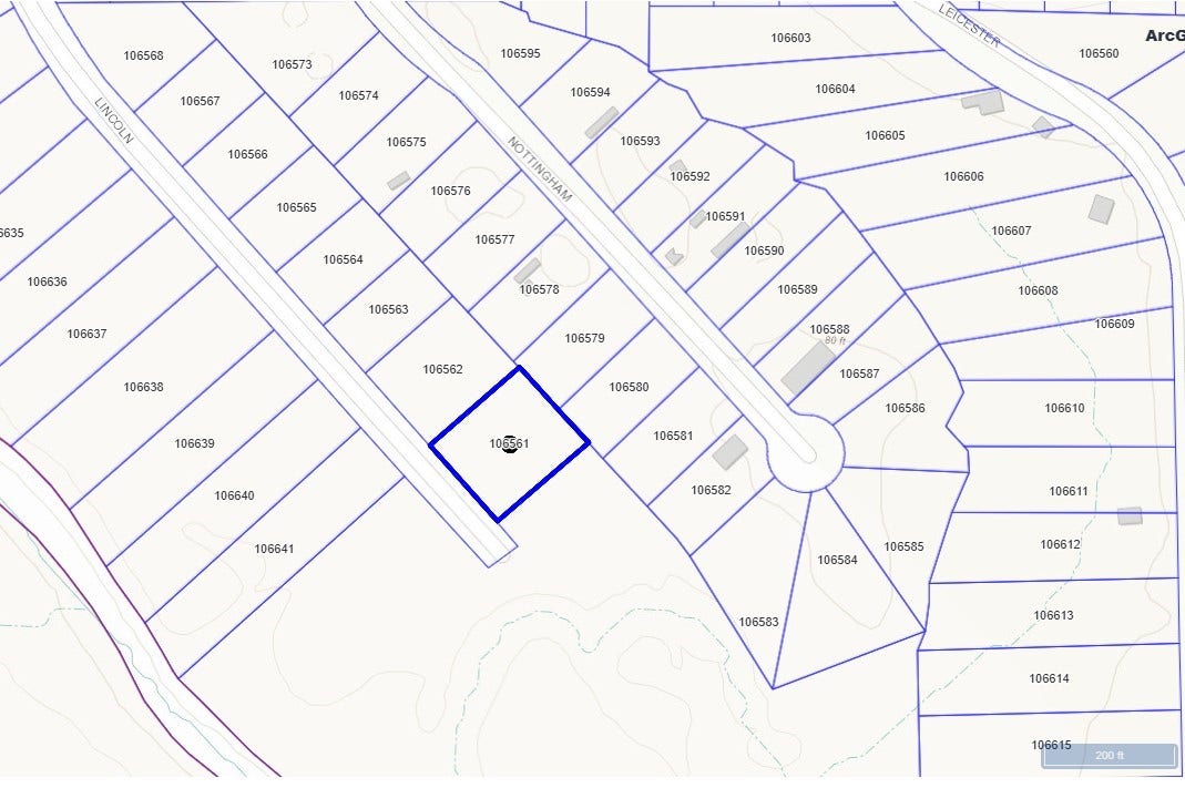 19077 Lincoln Street, New Caney, TX 77357 19077 Lincoln Street, New Caney, TX 77357